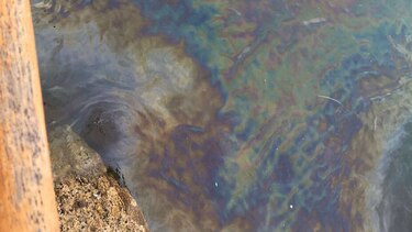 Nuevo derrame de químico afecta costa de isla Taboga