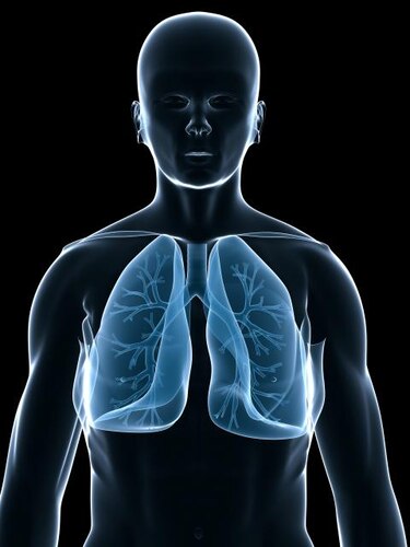 Descubren el papel de un gen en la progresión del cáncer de pulmón