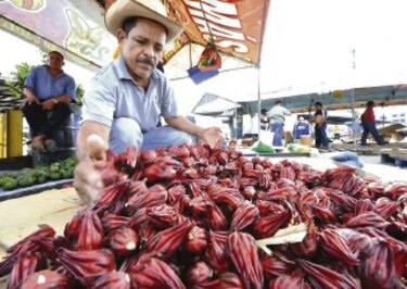Llegó la temporada del saril