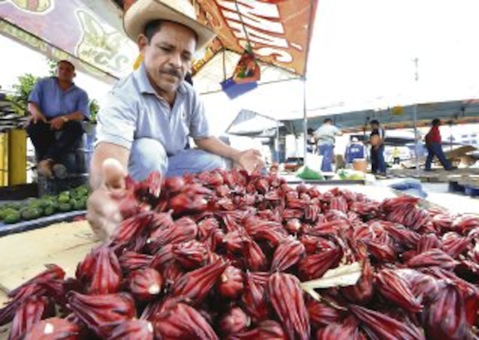 Llegó la temporada del saril