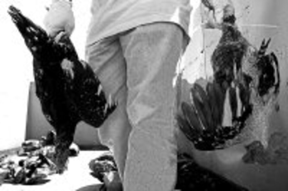 Holanda y Francia apuestan por vacuna