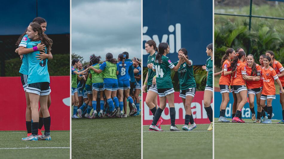 Día de semifinales en la LigaW: Dolphins, Spartans, Lions y Mustangs van por el pase a la final