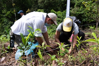 5 de diciembre: Día Internacional del Voluntario