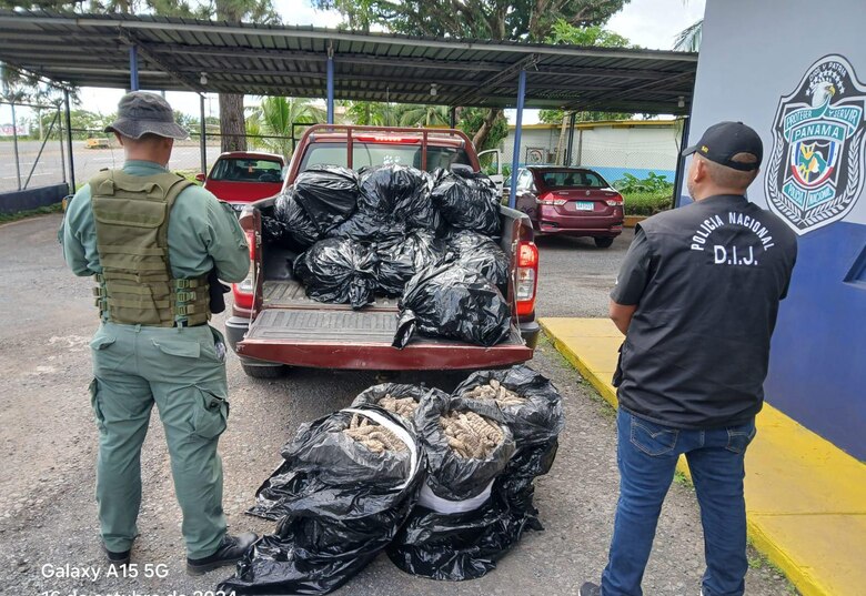 Operación Holoturias desmantela red de tráfico de pepinos de mar en Panamá