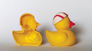 Patos de goma de las bañeras son una potencial ‘bomba de bacterias y hongos’
