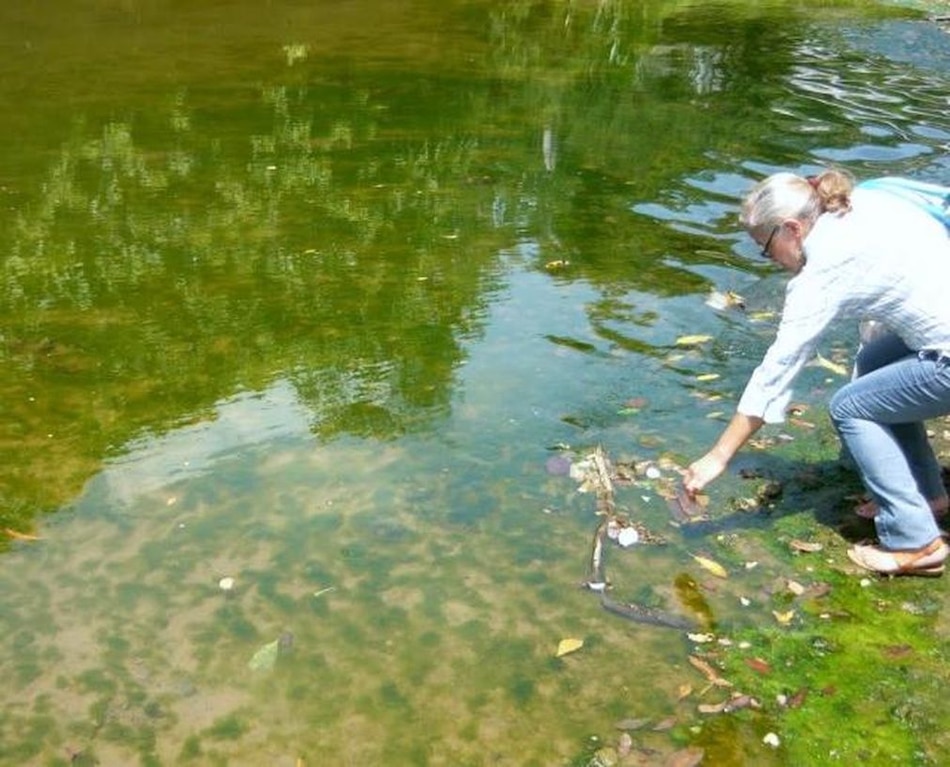 Descubren que la oscuridad estimula la producción de compuestos naturales en microalgas marinas