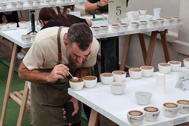 Panamá subastará el café Geisha, el más caro del mundo