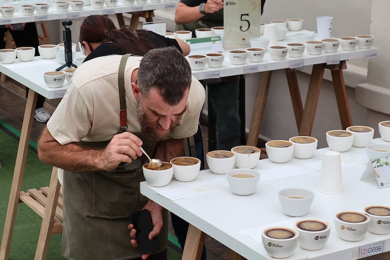 Panamá subastará el café Geisha, el más caro del mundo