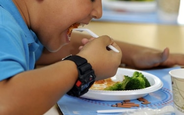 En Panamá, casi cuatro de cada 10 niños tiene sobrepeso u obesidad