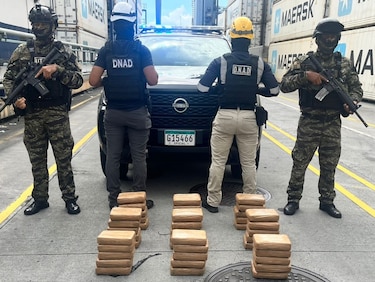 Incautan más de 40 paquetes con droga en un contenedor
