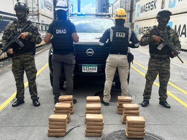 Incautan más de 40 paquetes con droga en un contenedor