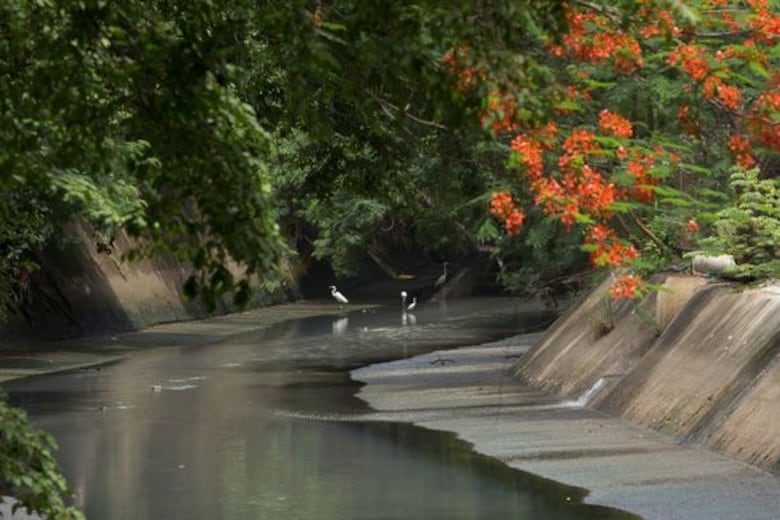Matasnillo: Río que brilla, río que muere