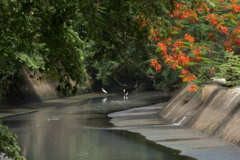 Matasnillo: Río que brilla, río que muere