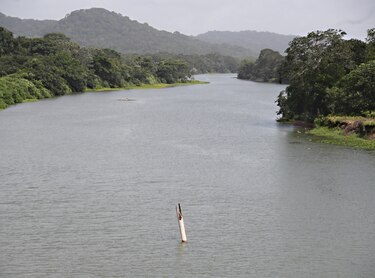 Don Olmedo y las selvas muy lluviosas del río Chagres