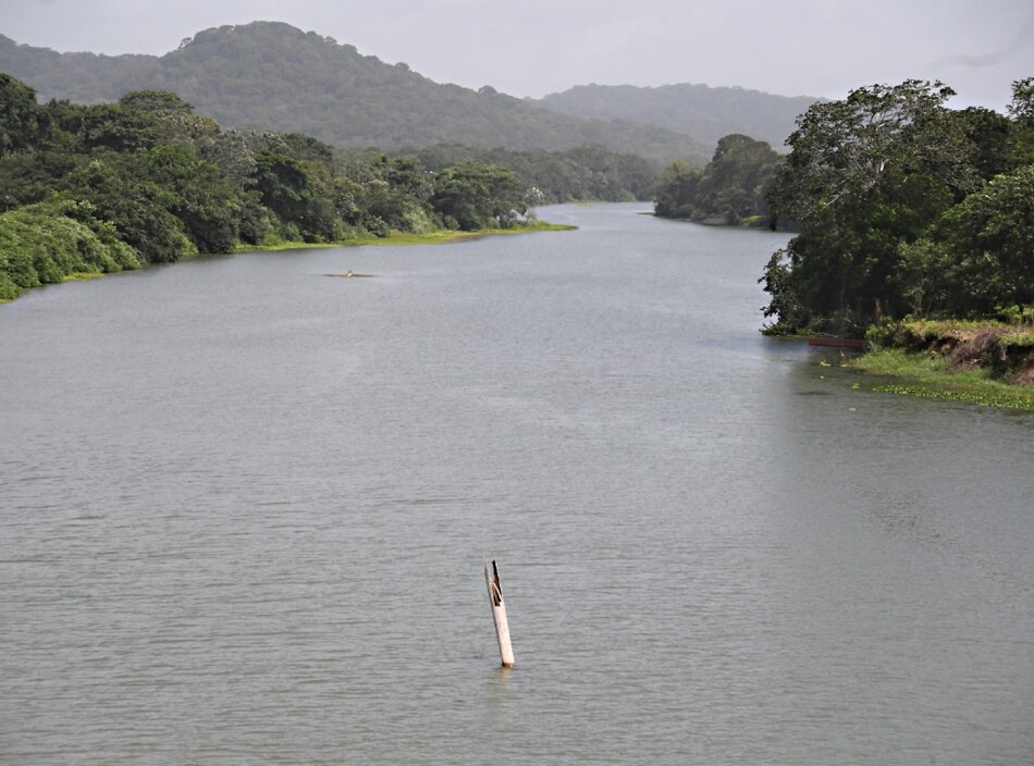 Don Olmedo y las selvas muy lluviosas del río Chagres