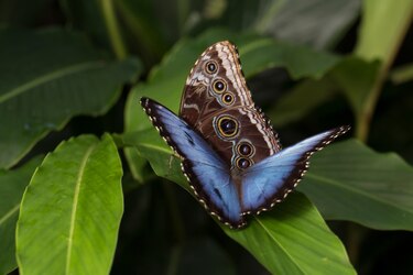 Explora el arte de la fotografía con Alexander Arosemena