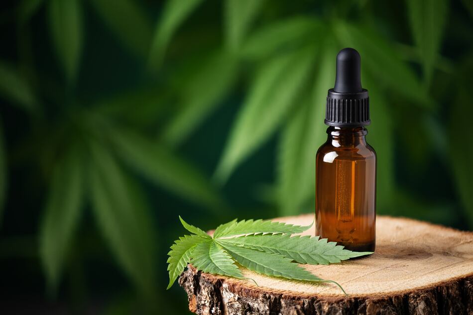 Ley 242 de cannabis medicinal: sin licencias tras cuatro años, pero ya buscan reformarla