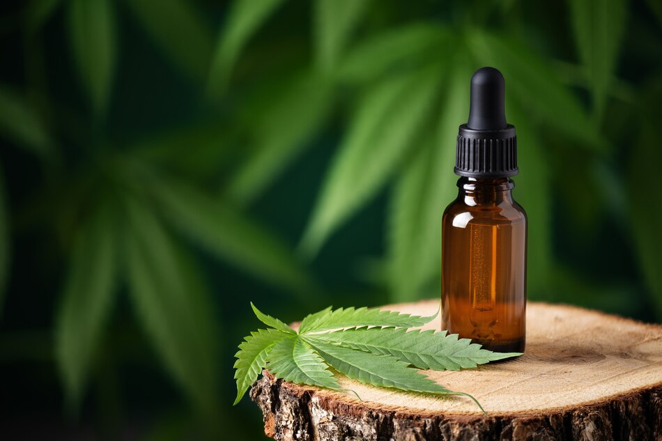 Errores en propuestas de cannabis medicinal: revelaciones del segundo informe de evaluación