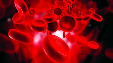 Trastorno en la sangre