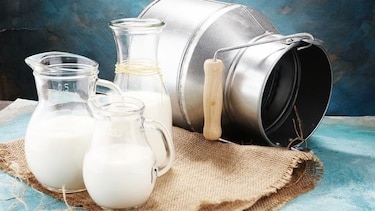 El aporte nutricional de la leche de vaca en la dieta