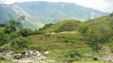 Proponen desarrollo turístico de la Poza Verde