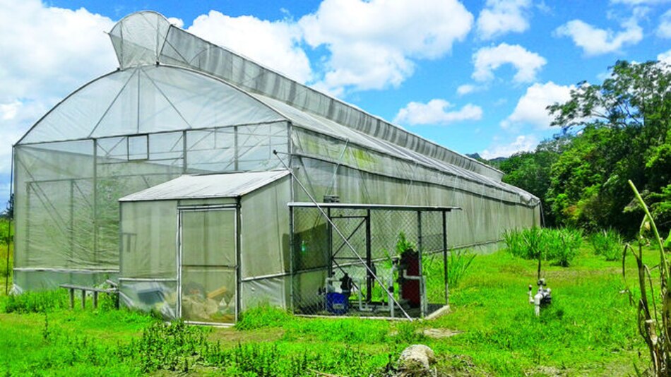 Mejoran cultivos con la construcción de viveros