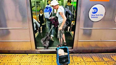 Un metro con mapa de ADN