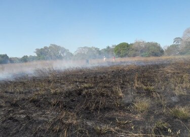 Bomberos exhortan a evitar los incendios de masa vegetal 