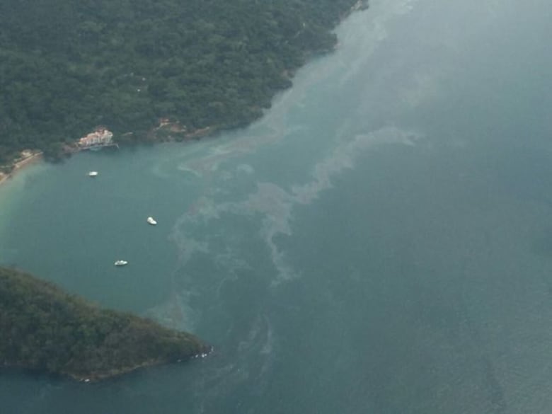 Restringen temporalmente el acceso a bañistas por derrame en Taboga
