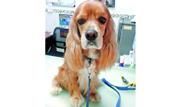 Orión, el futbolista