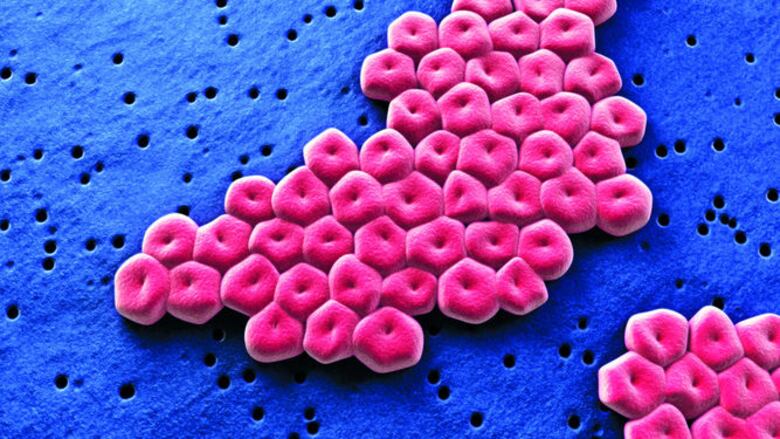 Microbios más resistentes