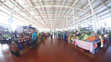 Productores abastecerán mercados del país los domingos, hasta que dure la cuarentena