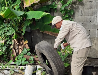Minsa evalúa evidencia científica antes de decidir inclusión de la vacuna contra el dengue