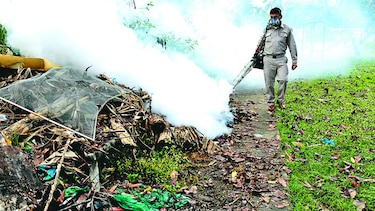 Salud alerta de peligro por zika en embarazadas gunas
