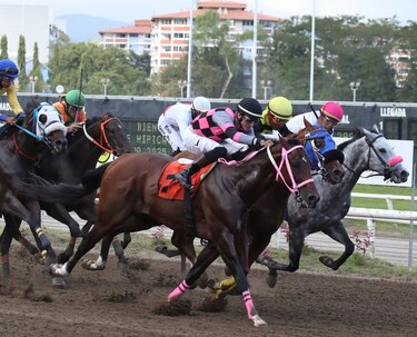 El ejemplar ‘Chief Mesa’ remontó en la recta final y se llevó el Handicap ‘La Prensa’ – ‘Mi Diario’