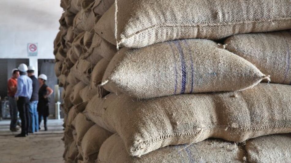 Disminuye precio del café peruano en el extranjero