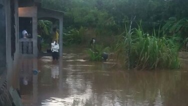 Colón: 20 casas afectadas por inundaciones en Palenque
