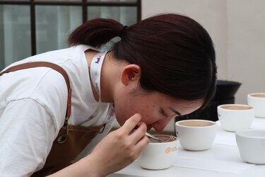 Panamá subastará el café Geisha, el más caro del mundo
