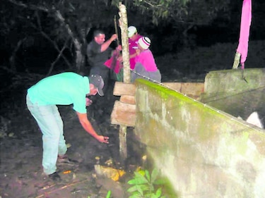 Se organizan para evitar mordeduras de hematófagos
