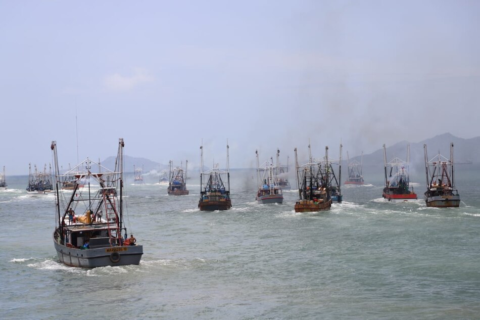 Panamá cancelaría 38 barcos del registro por pesca ilegal
