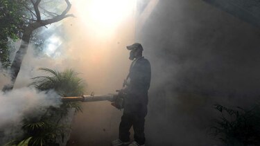 Zika: Brasil acuerda con Universidad de Texas elaboración de vacuna