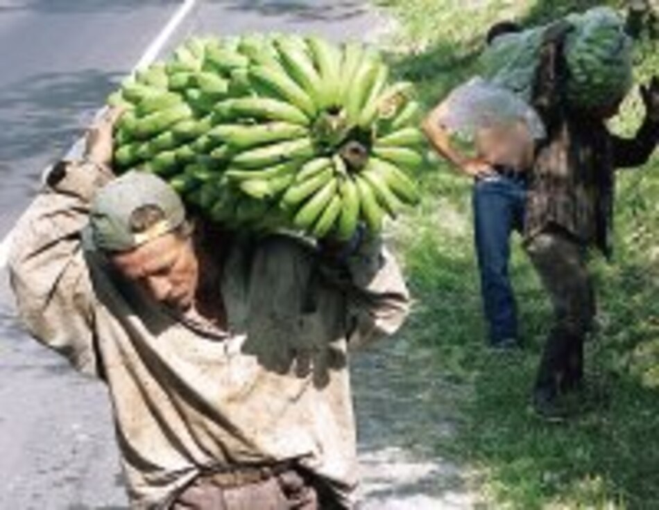 TLC con Centroamérica y Caribe ayudan a Costa Rica
