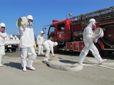 Estudio de la Universidad de Tokio detecta plancton radiactivo en Fukushima