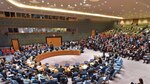 Nikki Haley:‘Israel actuó con moderación’