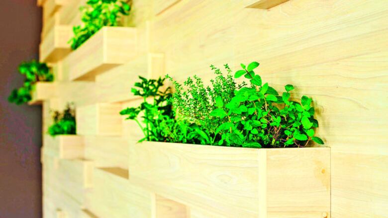 Diseño panameño escala en Madrid