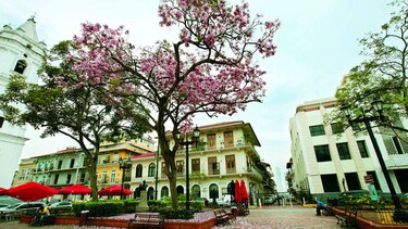 La plaza de los próceres