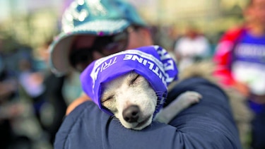 3 mil 500 perros marchan en la quinta ‘perrotón’