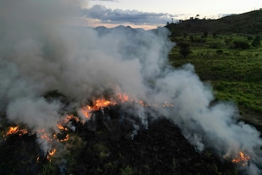 La ‘tetra crisis ambiental’: un nuevo paradigma para la sostenibilidad global