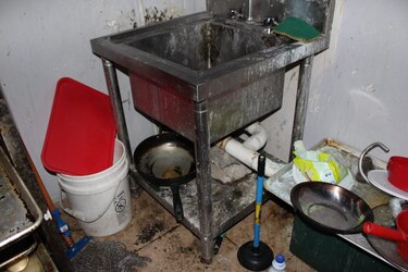 Desde gatos hasta presencia de plagas, esto fue lo que encontró Salud en panadería