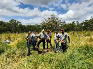 Enel le apuesta a la descarbonización para mitigar el cambio climático
